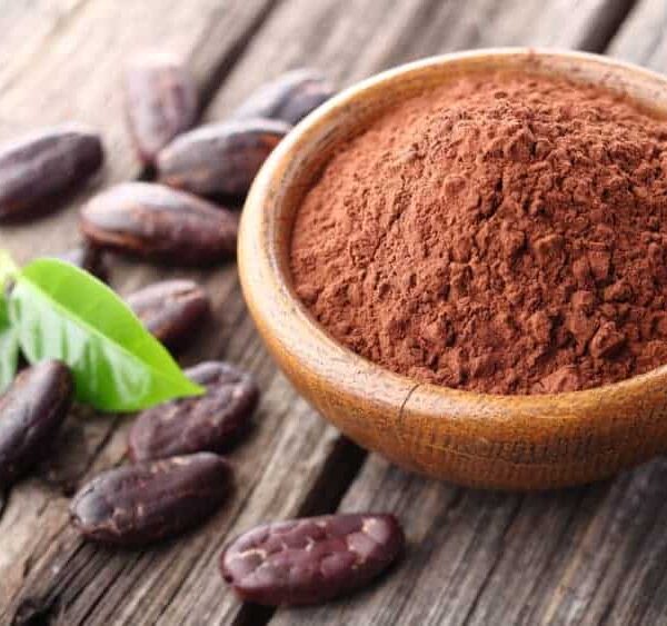 bot-cacao