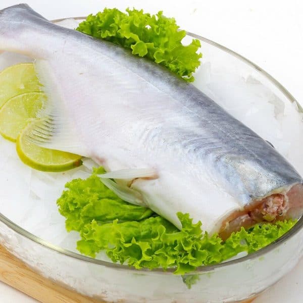 ca-ba-sa-khong-dau