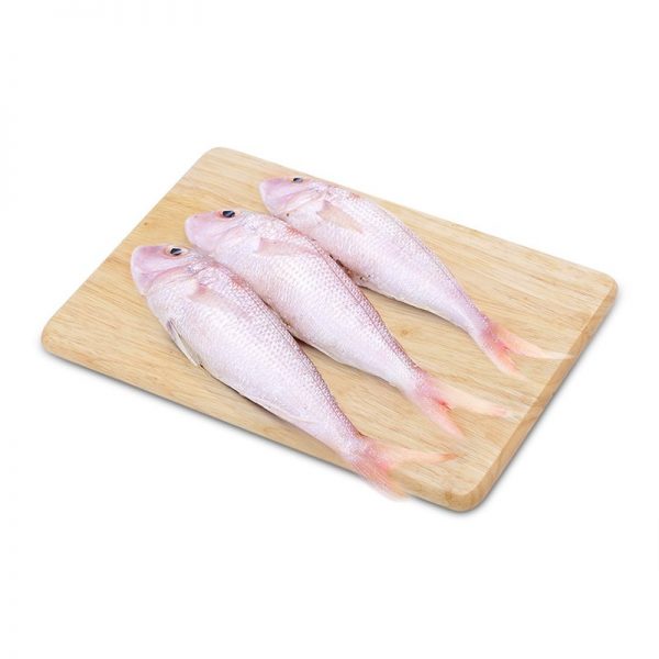 ca-huong