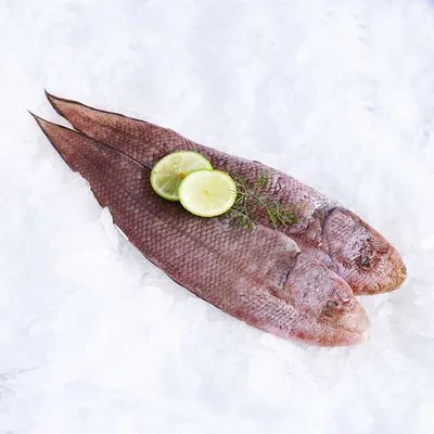 ca-luoi-trau