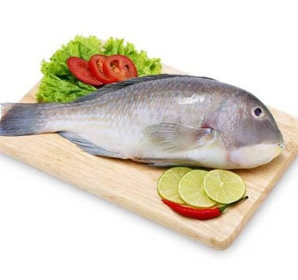 ca-mo