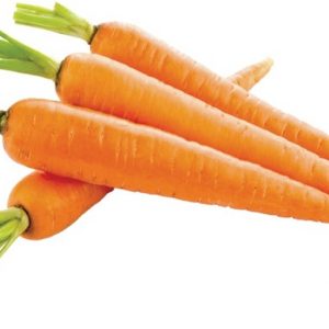 cà rốt Đà Lạt