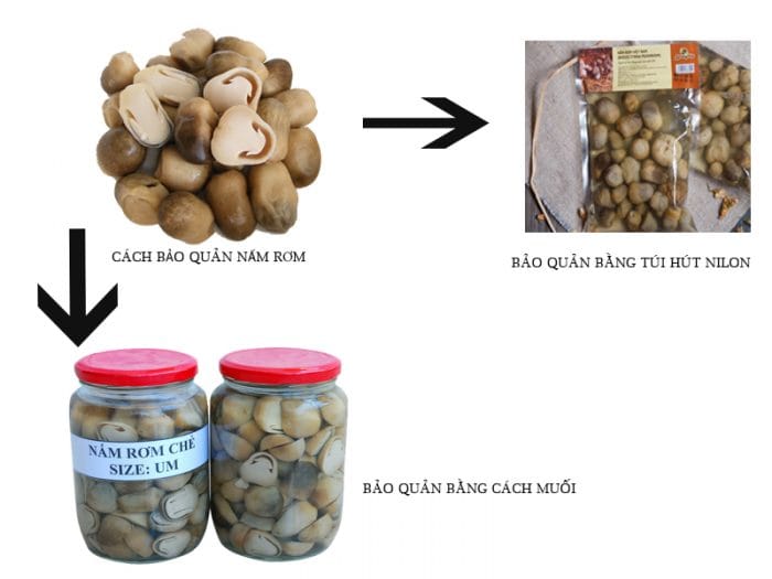 cách bảo quản nấm rơm