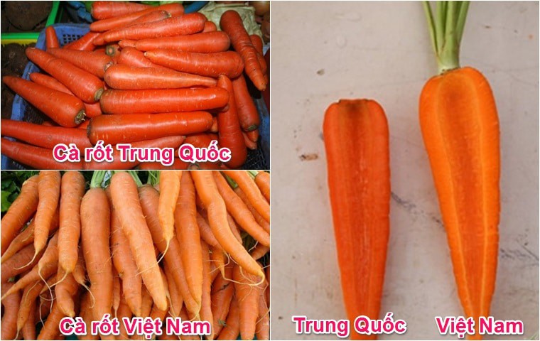 cách phân biệt cà rốt Việt Nam và Trung Quốc
