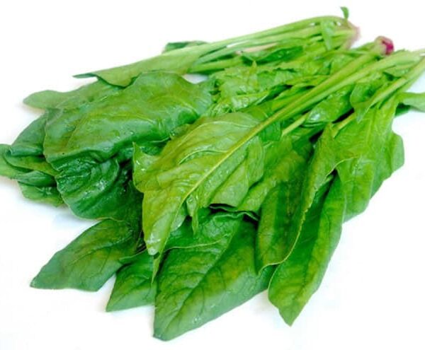 cai-bo-xoi