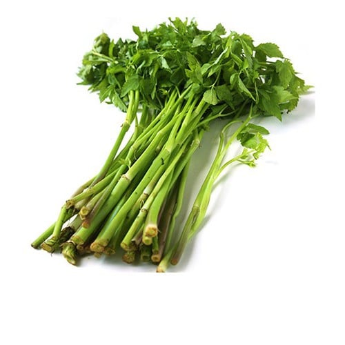 can-nuoc
