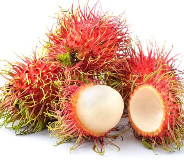 chom-chom-thai