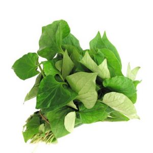 Rau Diếp Cá