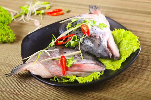 dau-ca-hoi