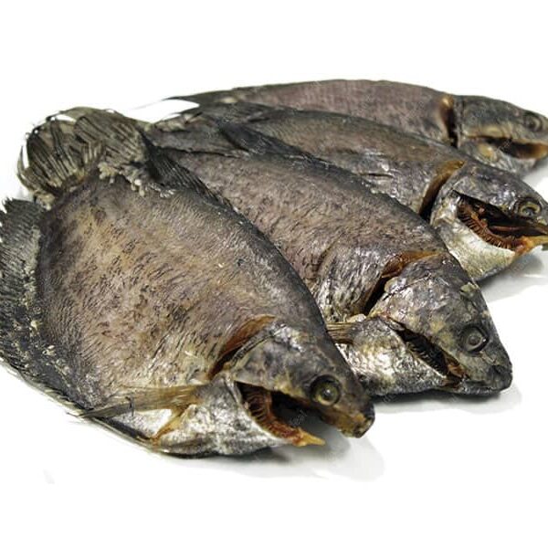 kho-ca-sac