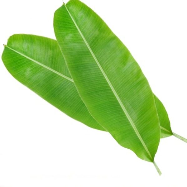 la-chuoi