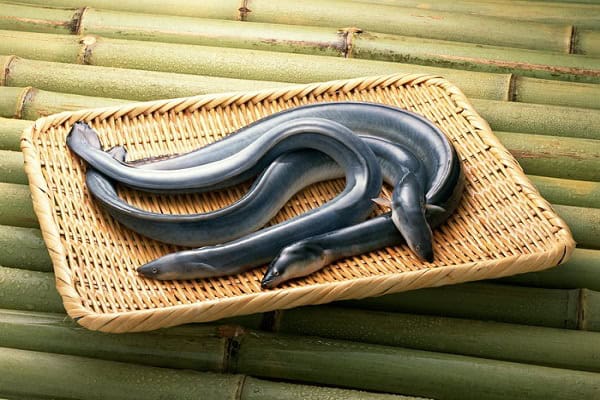 luon-dong