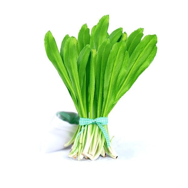 ngo-gai