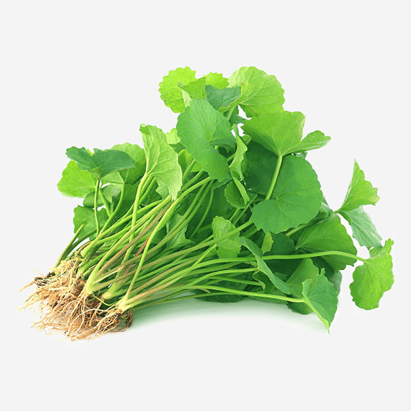 rau-ma
