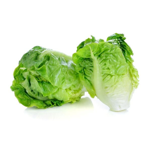 salad-romaine