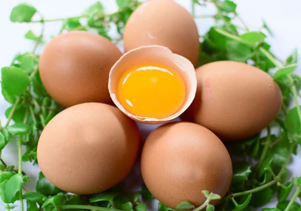 trứng gà cung cấp nhiều giá trị dinh dưỡng