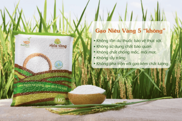Gạo niêu vàng: Gạo sạch nguyên chất từ phòng thí nghiệm tới bàn ăn_5ecc8af3f2e18.png