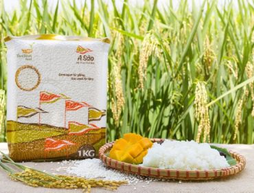 Gạo nếp ngon A Sào – nấu gì cũng ngon “bất bại”_5ef174efb9ece.jpeg