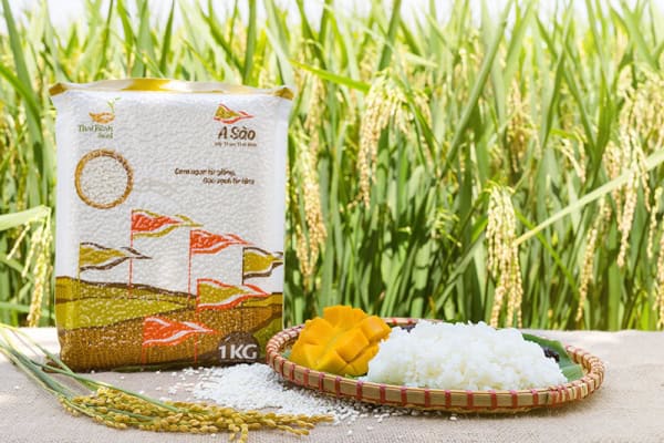 Gạo nếp ngon A Sào – nấu gì cũng ngon “bất bại”_5ef174efb9ece.jpeg