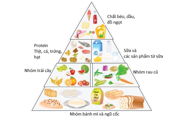 Làm thế nào để có bữa ăn hợp lý và đủ dinh dưỡng?