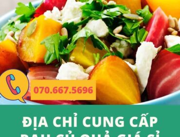 địa chỉ cung cấp rau củ quả giá sỉ