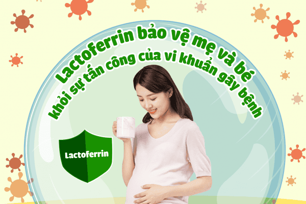 Lactoferrin và vai trò đối với hệ miễn dịch trong cơ thể_5f029851f1a66.png