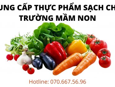 Cung Cấp Thực Phẩm Sạch Cho Trường Mầm Non