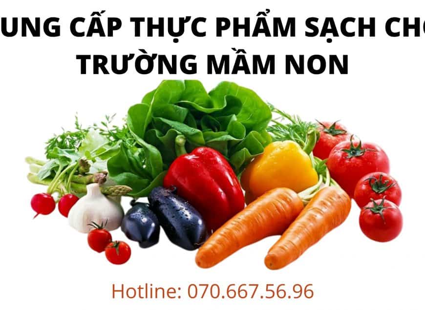 Cung Cấp Thực Phẩm Sạch Cho Trường Mầm Non