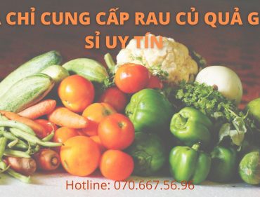 Dia-chi-cung-cap-rau-cu-qua-gia-si-uy-tin