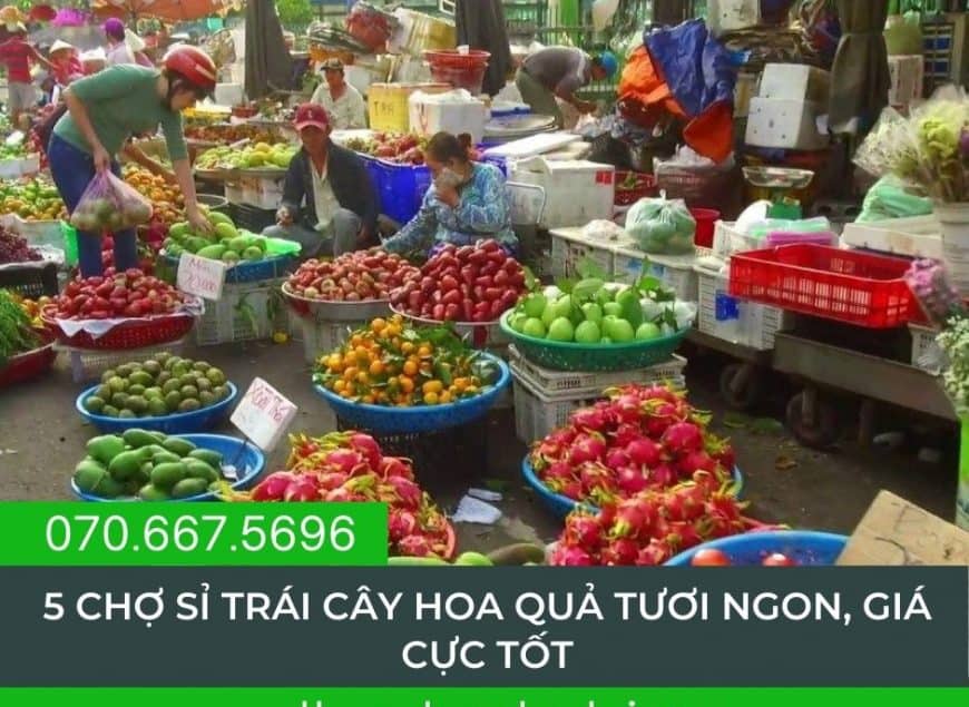 cho-si-trai-cay-gia-cuc-tot