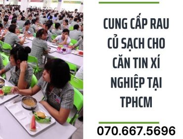 cung-cấp-rau-củ-cho-xí-nghiệp
