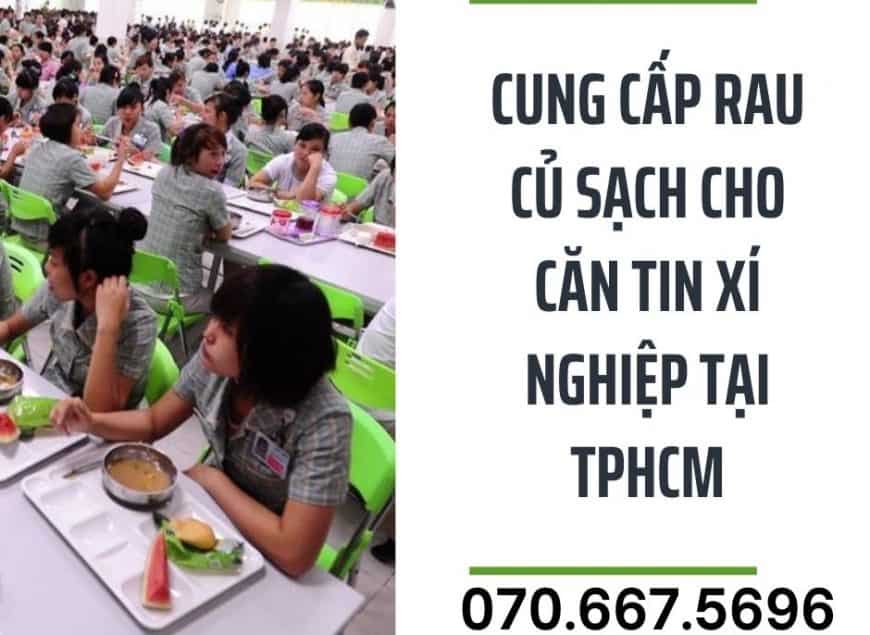 cung-cấp-rau-củ-cho-xí-nghiệp