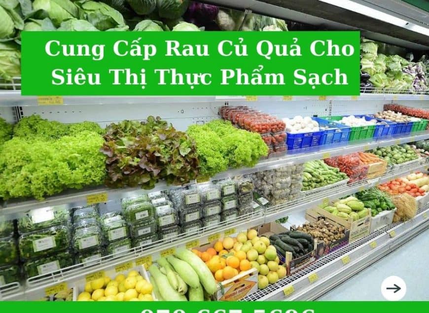 cung-cap-thuc-pham-sach-cho-bep-an-tap-the-1