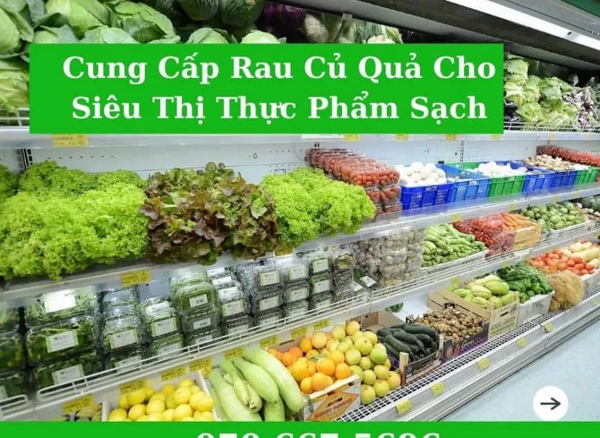cung-cap-thuc-pham-sach-cho-bep-an-tap-the-1