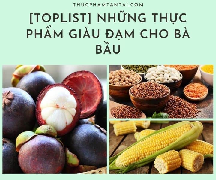 [Toplist] Những Thực Phẩm Giàu Đạm Cho Bà Bầu