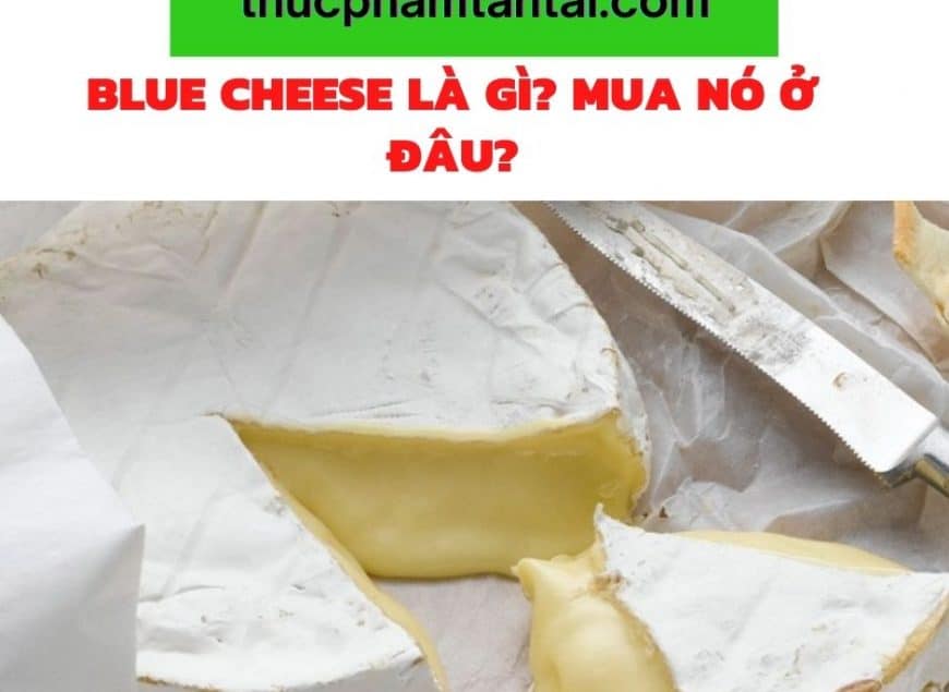 Blue cheese là gì? Mua nó ở đâu?