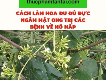 hoa đu đủ đực ngâm mật ong