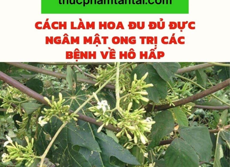 hoa đu đủ đực ngâm mật ong