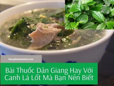 Bài Thuốc Dân Giang Hay Với Canh Lá Lốt Mà Bạn Nên Biết