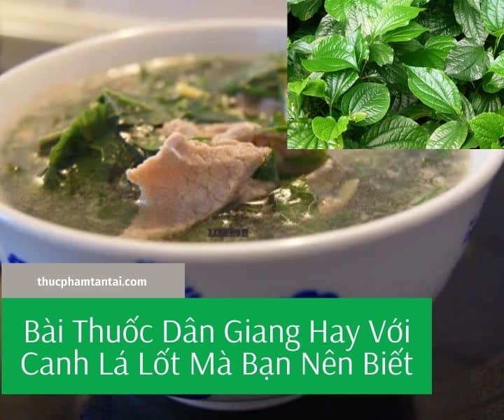 Bài Thuốc Dân Giang Hay Với Canh Lá Lốt Mà Bạn Nên Biết