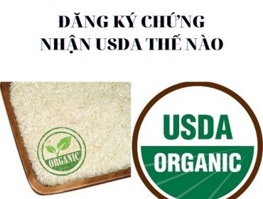 dang-ky-chung-nhan-usda-the-nao