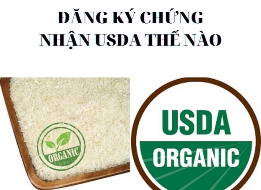 dang-ky-chung-nhan-usda-the-nao