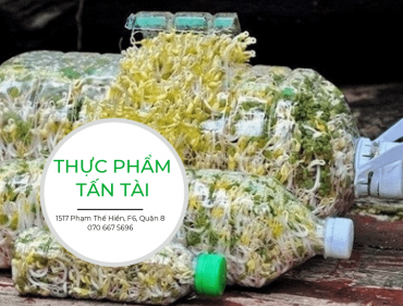 cách-làm-giá-bằng-chai-nhựa (1)