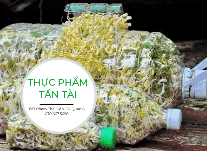 cách-làm-giá-bằng-chai-nhựa (1)