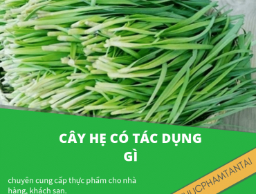 cây hẹ có tác dụng gì