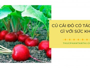 cu-cai-do-co-tac-dung-gi