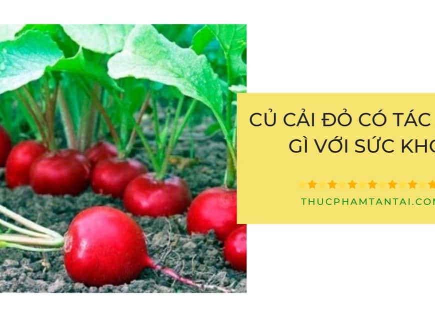cu-cai-do-co-tac-dung-gi