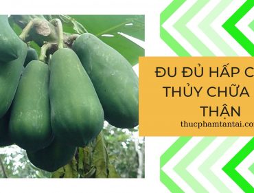 đu đủ hấp cách thủy chữa sỏi thận