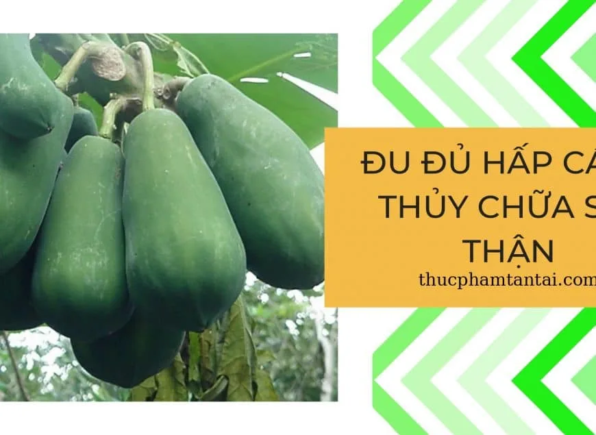 đu đủ hấp cách thủy chữa sỏi thận