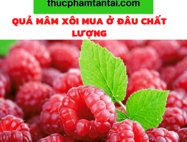 quả-mâm-xôi-mua-ở-đâu